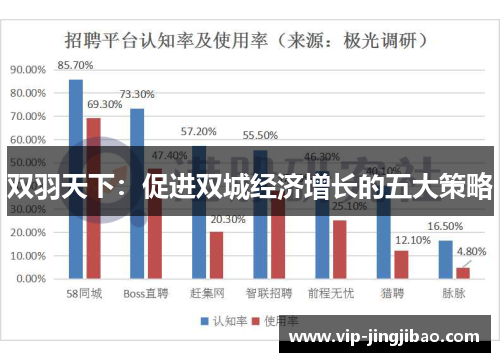 双羽天下：促进双城经济增长的五大策略