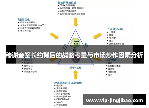 穆谢奎签长约背后的战略考量与市场炒作因素分析